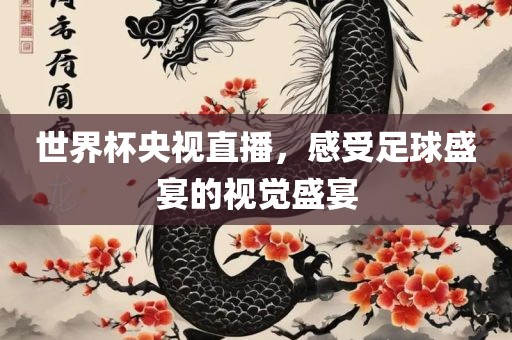世界杯央视直播，感受足球盛宴的视觉盛宴