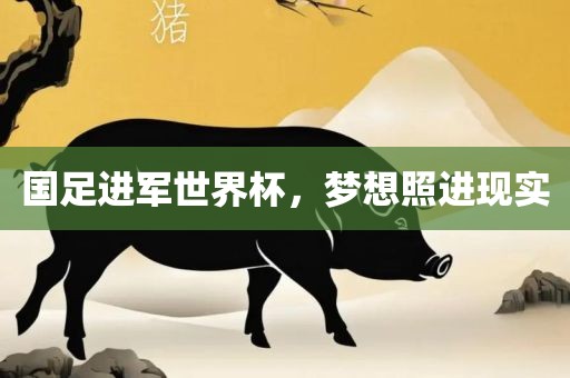 国足进军世界杯，梦想照进现实