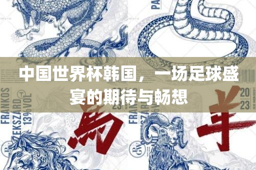 中国世界杯韩国，一场足球盛宴的期待与畅想