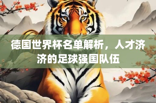 德国世界杯名单解析，人才济济的足球强国队伍