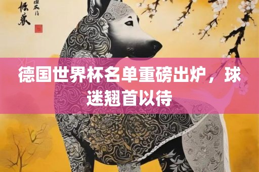 德国世界杯名单重磅出炉，球迷翘首以待
