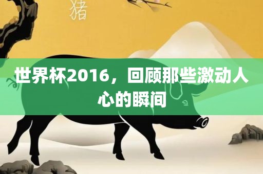 世界杯2016，回顾那些激动人心的瞬间