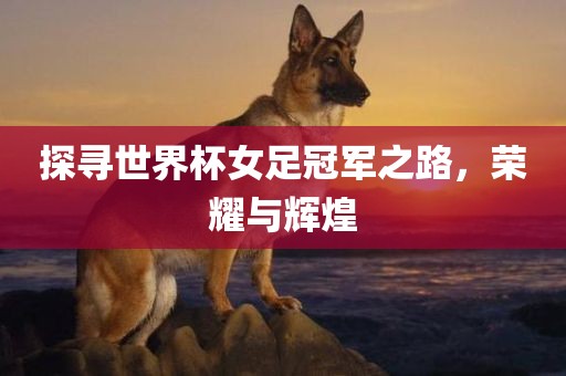 探寻世界杯女足冠军之路，荣耀与辉煌