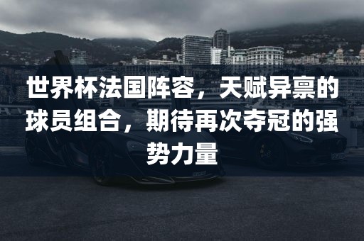 世界杯法国阵容，天赋异禀的球员组合，期待再次夺冠的强势力量漯河市盈旭机械设备有限公司