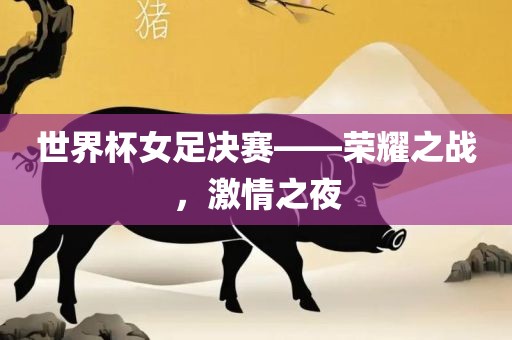 世界杯女足决赛——荣耀之战，激情之夜