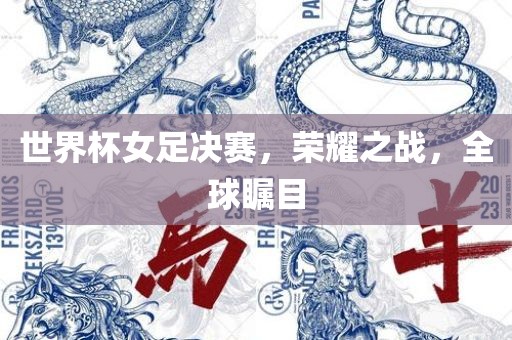 世界杯女足决赛，荣耀之战，全球瞩目