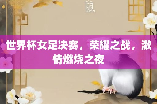 世界杯女足决赛，荣耀之战，激情燃烧之夜