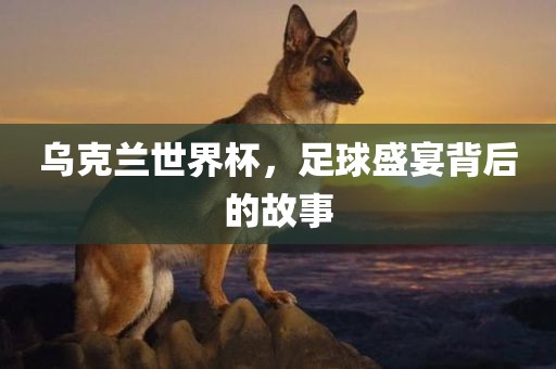 乌克兰世界杯，足球盛宴背后的故事