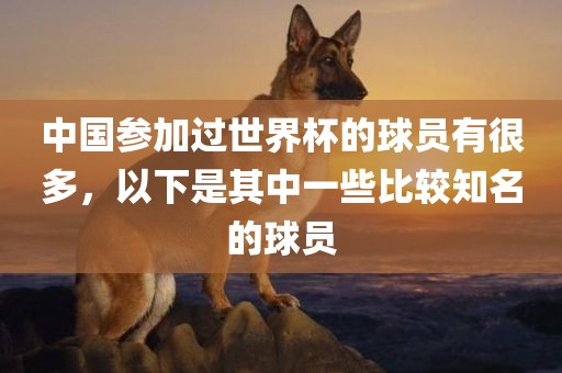 中国参加过世界杯的球员有很多，以下是其中一些比较知名的球员