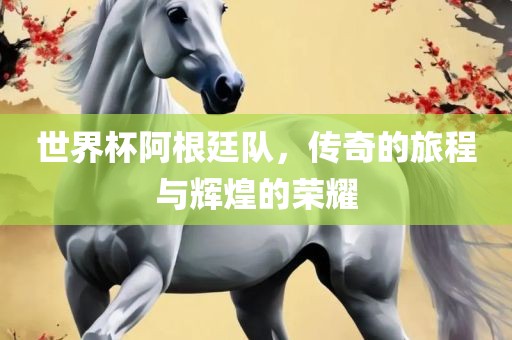 世界杯阿根廷队，传奇的旅程与辉漯河市盈旭机械设备有限公司煌的荣耀