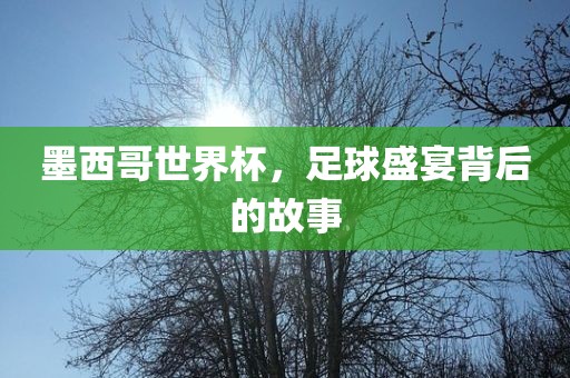 墨西哥世界杯，漯河市盈旭机械设备有限公司足球盛宴背后的故事