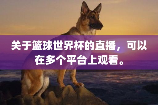 关于篮球世界杯的直播，可以在多个平台上观看。