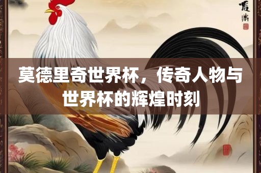 莫德里奇世界杯，传奇人物与世界杯的辉煌时刻