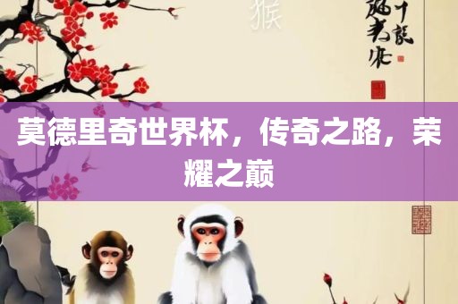 莫德里奇世界杯，传奇之路，荣耀之巅