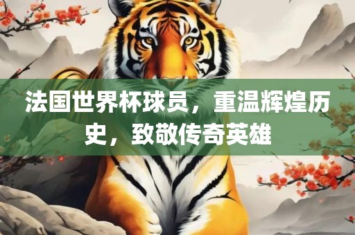 法国世界杯球员，重温辉煌历史，致敬传奇英雄
