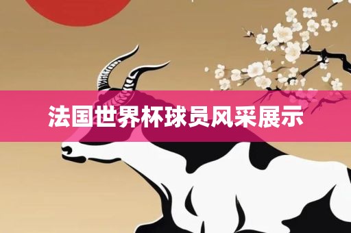 法国世界杯球员风采展示漯河市盈旭机械设备有限公司