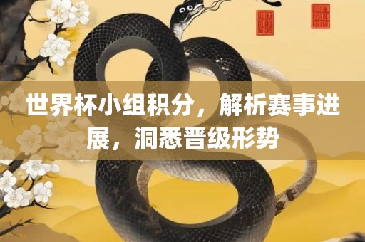世界杯小组积分，解析赛事进展，洞悉晋级形势