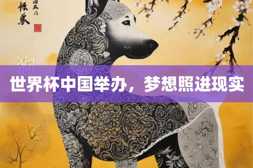 世界杯中国举办，梦想照进现实