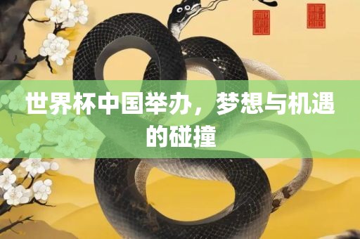 世界杯中国举办，梦想与机遇的碰撞