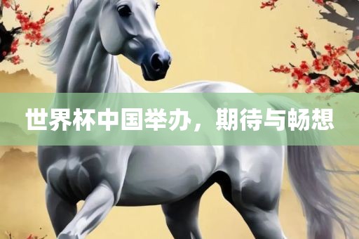 世界杯中国举办，期待与畅想