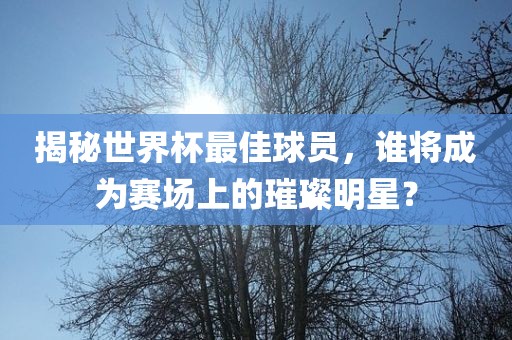 揭秘世界杯最佳球员，谁将成为赛场上的璀璨明星？