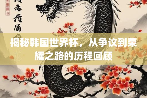 揭秘韩国世界杯，从争议到荣耀之路的历程回顾