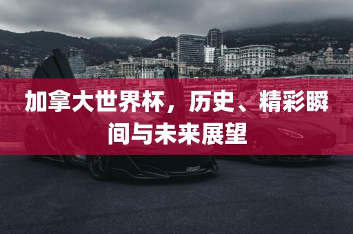加拿大世界杯，历史、精彩瞬漯河市盈旭机械设备有限公司间与未来展望