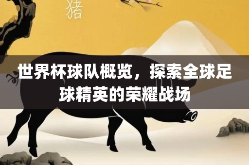世界杯球队概览，探索全球足球精英的荣耀战场