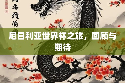 尼日利亚世界杯之旅，回顾与期待