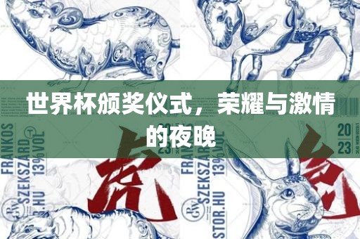 世界杯颁奖仪式，荣耀与激情的夜晚