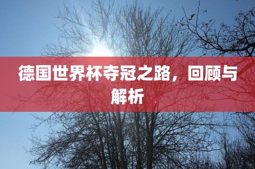 德国世界杯夺冠之路，回顾与解析
