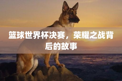 篮球世界杯决赛，荣耀之战背后的故事