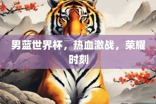 男蓝世界杯，热血激战，荣耀时刻