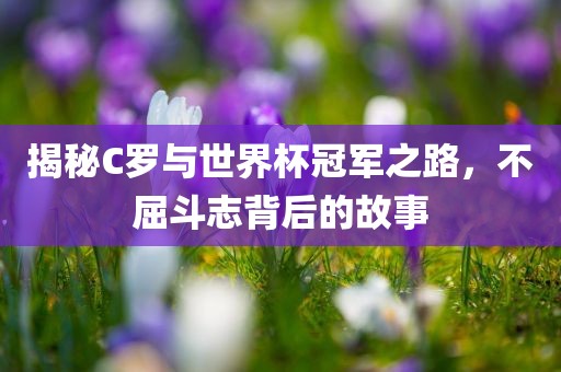 揭秘C罗与世界漯河市盈旭机械设备有限公司杯冠军之路，不屈斗志背后的故事