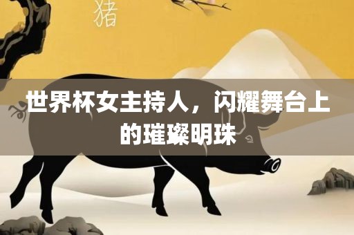 世界杯女主持人，闪耀舞台上的璀璨明珠