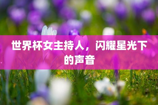 世界杯女主持人，闪耀星光下的声音