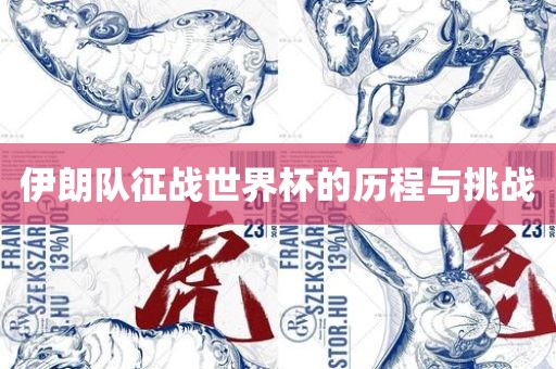 伊朗队征战世界杯的历程与挑战漯河市盈旭机械设备有限公司