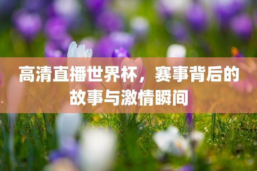 高清直播世界杯，赛事背后的故事与激情瞬间
