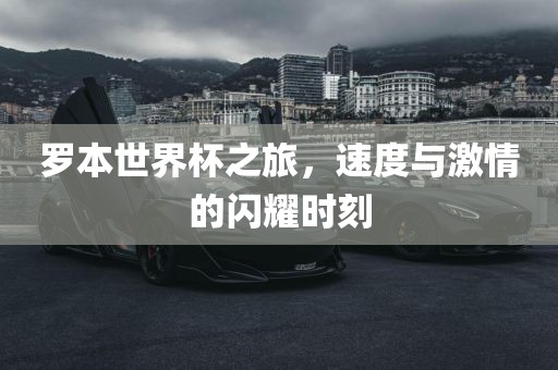 罗本世界杯之旅，速度与激情的闪耀时刻漯河市盈旭机械设备有限公司