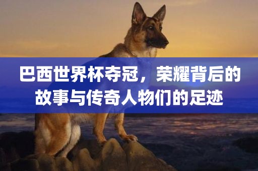巴西世界杯夺冠，荣耀背后的故事与传奇人物们的足迹
