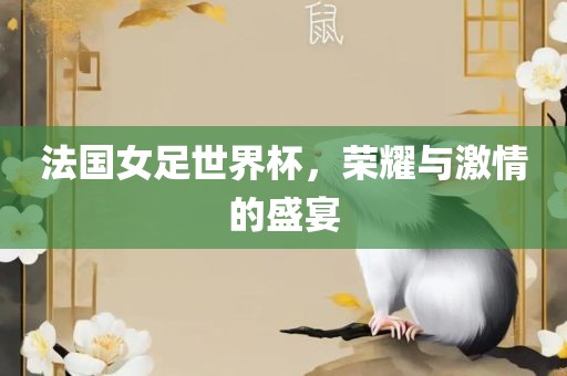 法国女足世界杯，荣耀与激情的盛宴