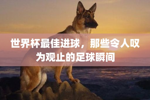 世界杯最佳进球，那些令人叹为观止的足球瞬间