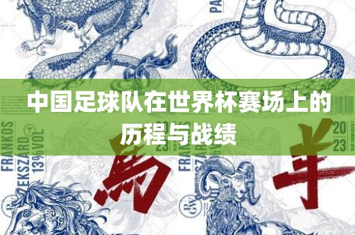 漯河市盈旭机械设备有限公司中国足球队在世界杯赛场上的历程与战绩