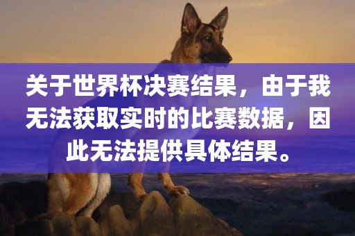 关于世界杯决赛结果，由于我无法获取实时的比赛数据，因此无法提供具体结果。