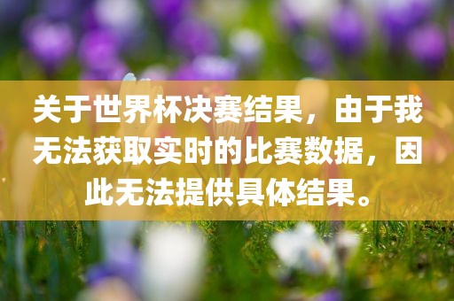 关于世界杯决赛结果，由于我无法获取实时的比赛数据，因此无法提供具体结果。