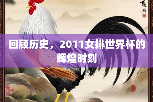 回顾历史，2011女排世界杯的辉煌时刻漯河市盈旭机械设备有限公司