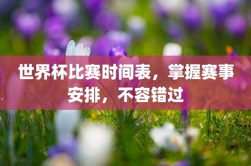 世界杯比赛时间表，掌握赛事安排，不容错过