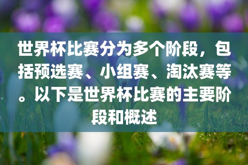 淘汰赛等）