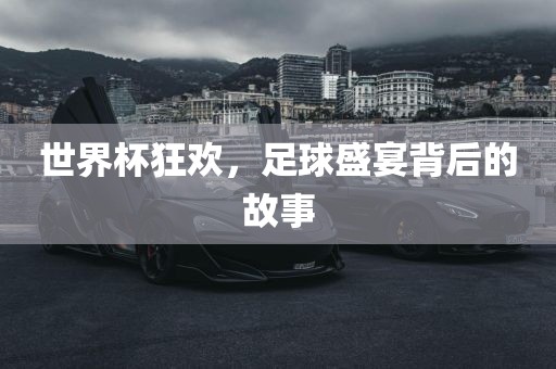 世界杯狂欢，足球盛宴背后的故事漯河市盈旭机械设备有限公司