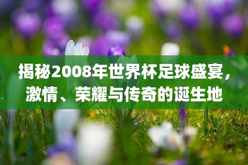揭秘2008年世界杯足球盛宴，激情、荣耀与传奇漯河市盈旭机械设备有限公司的诞生地